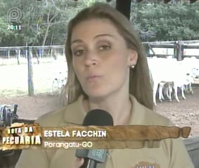 Projeto Rota da Pecuária mostra empresa familiar que investe em manejo racional em Goiás