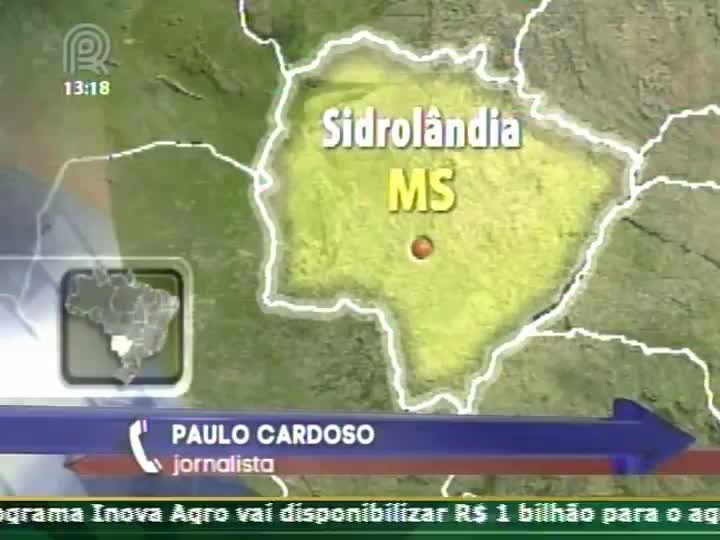 Quatro índios saem feridos e um morre durante conflito na desocupação da fazenda Buriti (MS)