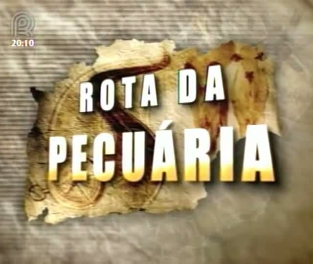 Rota da Pecuária realiza o primeiro dia de campo do projeto