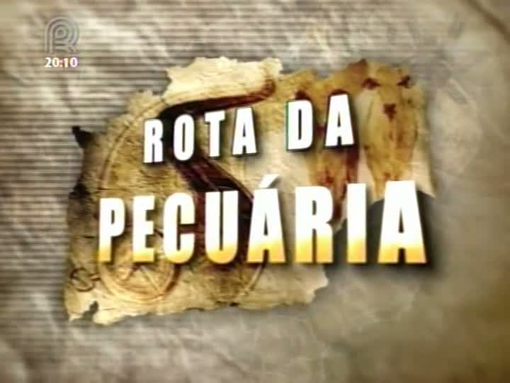 Rota da Pecuária realiza o primeiro dia de campo do projeto