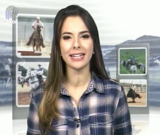 Parte 1: Mangalarga Marchador TV destaca as classificatórias do caminho do marchador no Paraná