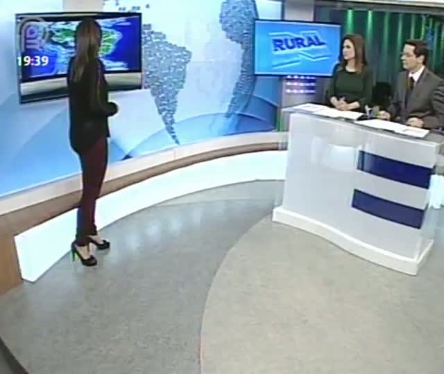Confira a previsão do tempo para os produtores do Sul do país