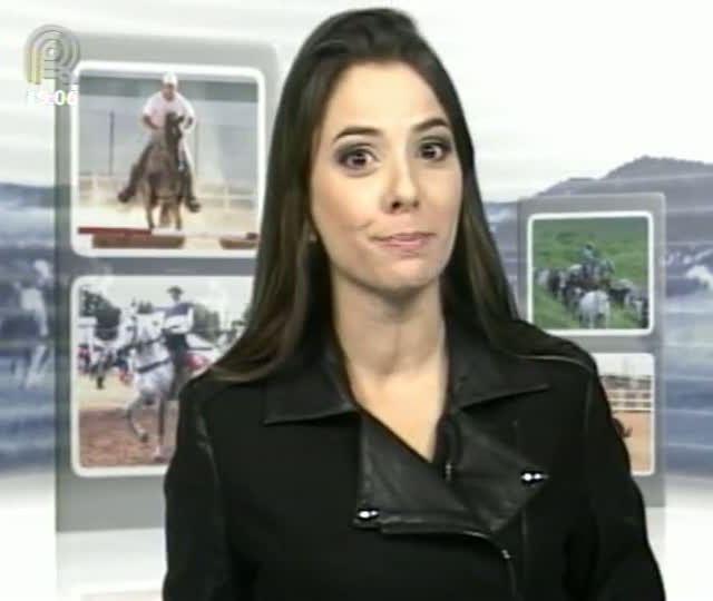 Parte 1: Mangalarga Marchador TV mostra os campeões da Exposição de Baependi, em Minas Gerais