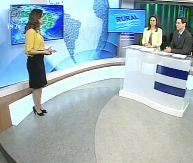 Confira a previsão do tempo para região Nordeste do Brasil
