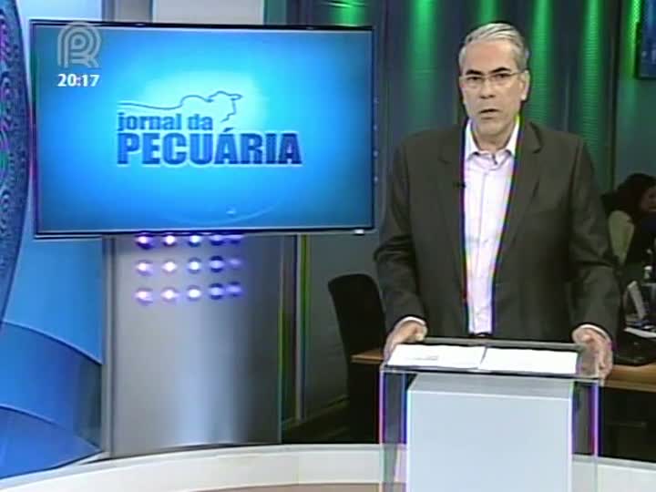 Analista da Scot Consultoria fala sobre a relação de troca do milho com o boi gordo