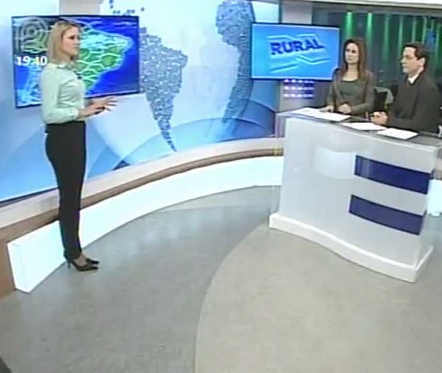 Confira a previsão do tempo para a região Sul do Brasil