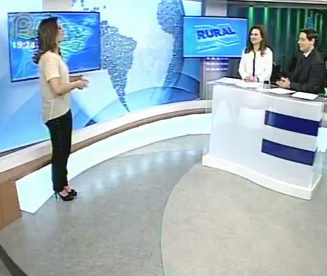 Confira a previsão do tempo para as regiões produtoras de café