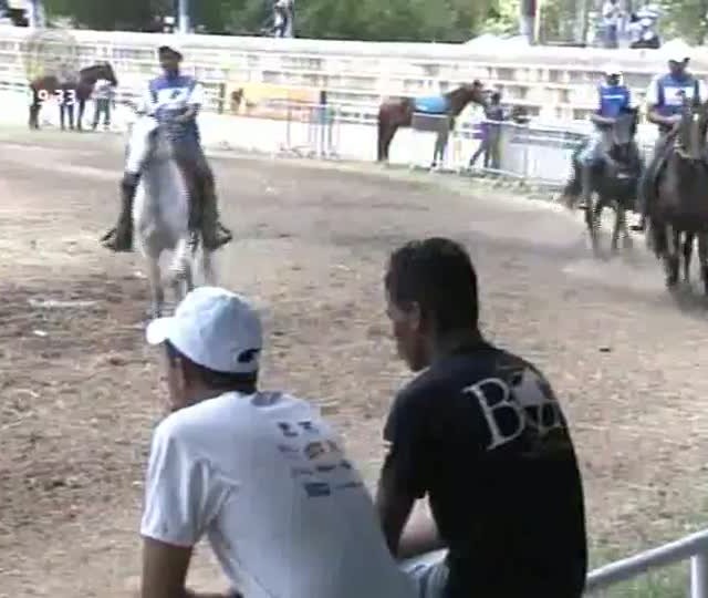 Mangalarga Marchador exibe as disputas do Campeonato Brasileiro de Marcha Picada (Parte 2)
