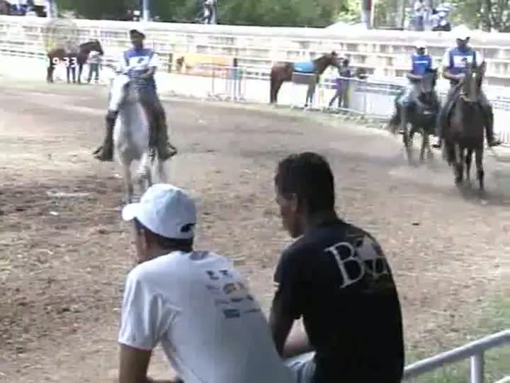 Mangalarga Marchador exibe as disputas do Campeonato Brasileiro de Marcha Picada (Parte 2)