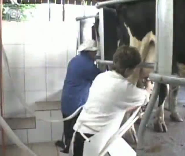 Fusão da Copérdia com a Coperio em Joaçaba (SC) é destaque no Cooperativismo em Notícia