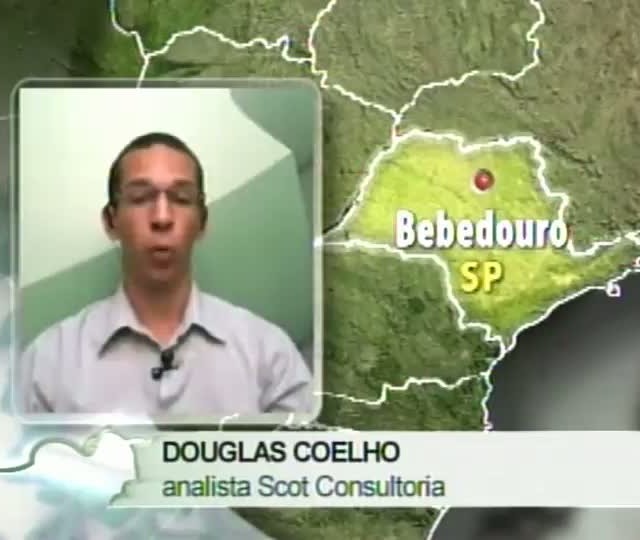 Analista da Scot Consultoria fala sobre os preços do suíno e o mercado de boi gordo