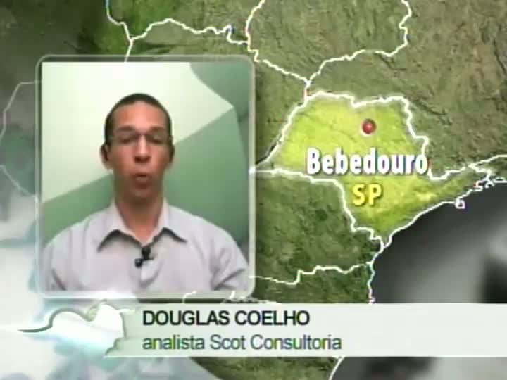 Analista da Scot Consultoria fala sobre os preços do suíno e o mercado de boi gordo