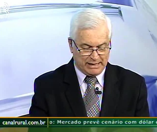 Chuvas em Minas Gerais favorecem florada de café