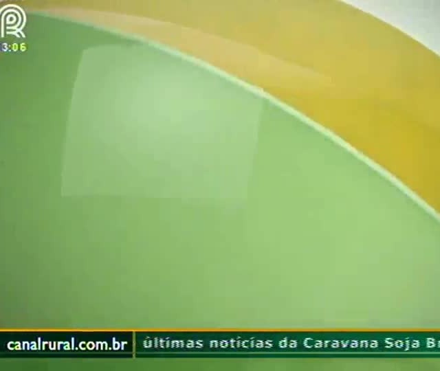Áureo Lantmann: Atraso no plantio não deve comprometer safra