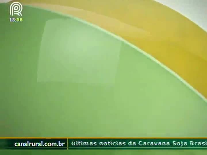 Áureo Lantmann: Atraso no plantio não deve comprometer safra