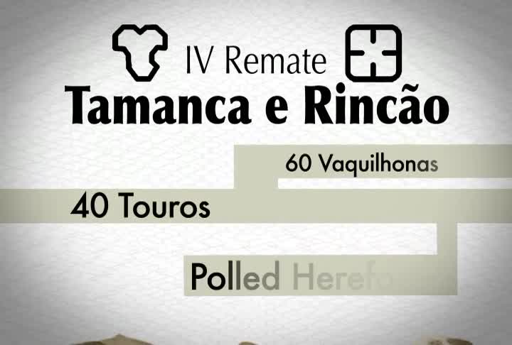 IV Remate Tamanca e Rincão