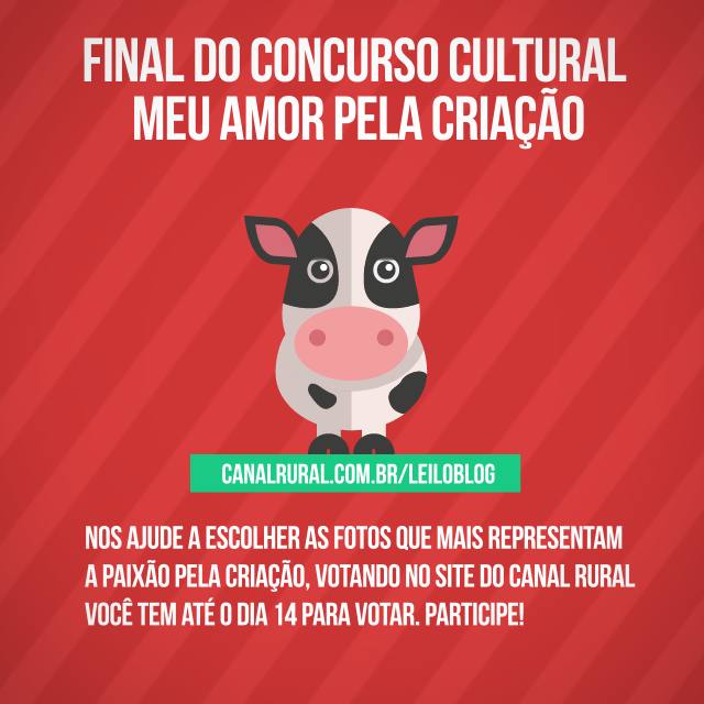 Qual destas fotos melhor ilustra o amor dos nossos fãs pela criação?