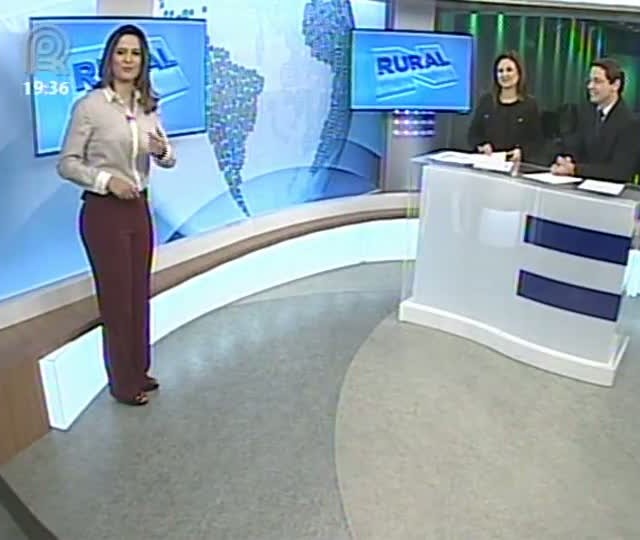 Confira a previsão do tempo para os Estados Unidos nos próximos dias