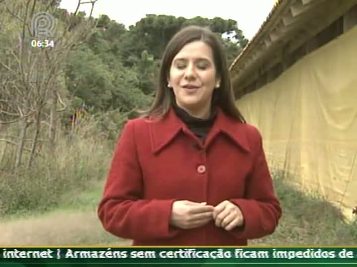 Integração entre avicultura e plantio de florestas