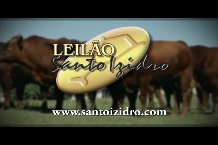 Leilão Santo Izidro