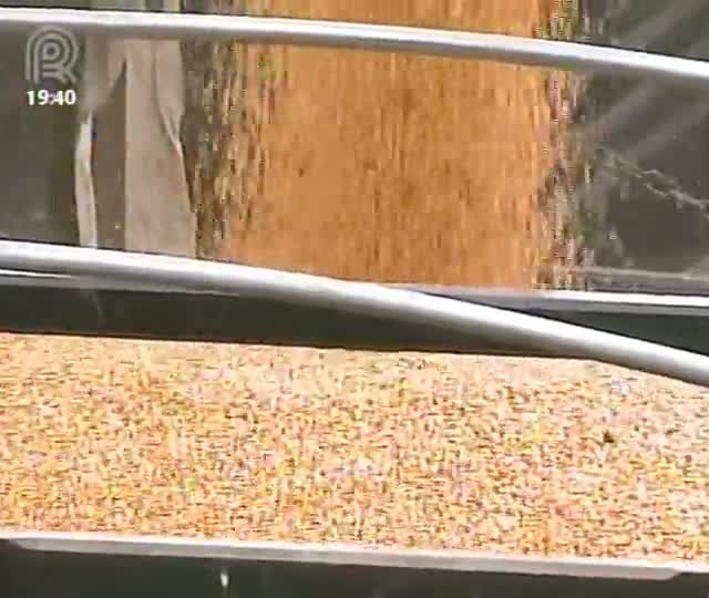 Produtores buscam manter bom desempenho das exportações de milho