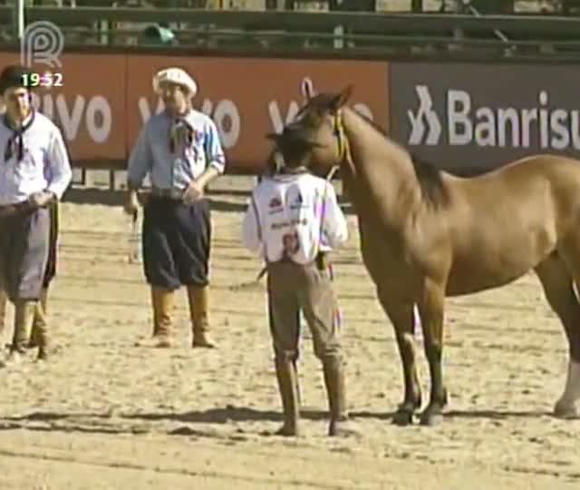 Divisa de Los Campos confirma domínio e conquista Bocal de Ouro
