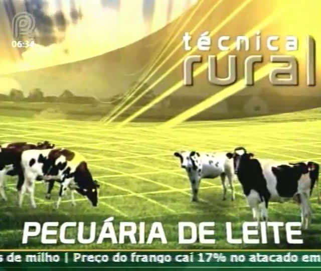 Técnica Rural - Pecuária de Leite - Instalações para confinamento e semi-confinamento