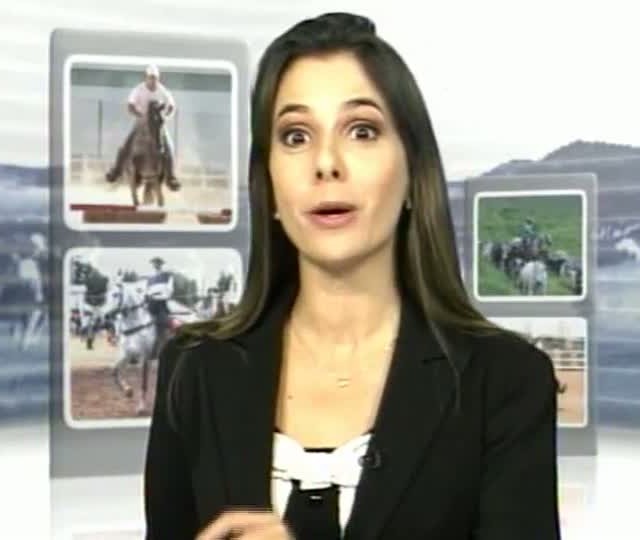 Parte 1: Mangalarga TV mostra o que os europeus acharam do cavalo sem fronteiras