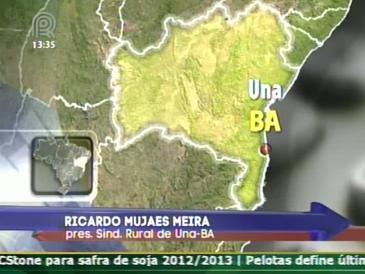 Presidente do Sindicato Rural de Una (BA) diz que na região há mais de 30 áreas invadidas por índios