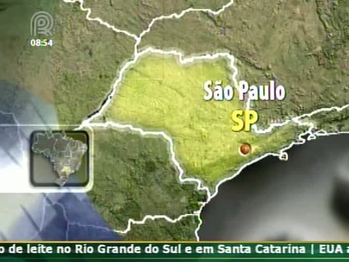 Preço da ave viva já caiu mais de 18% neste ano