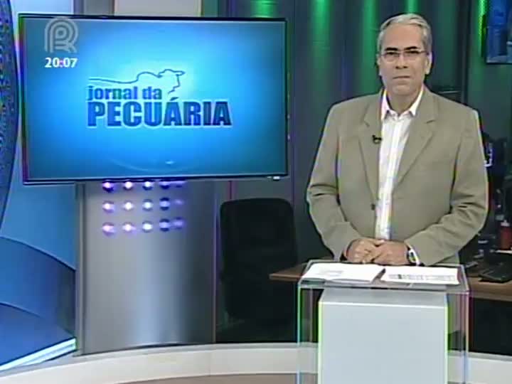 Entenda as diferenças entre o gado comercial e o gado de elite