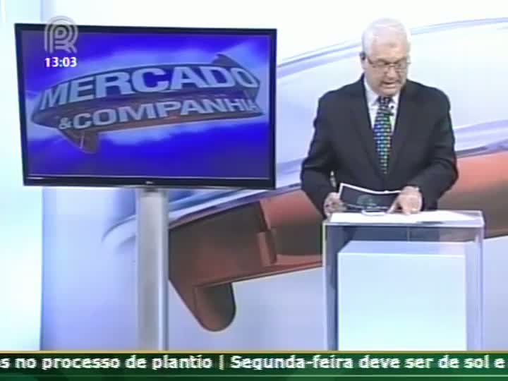 Analista de mercado da Scot Consultoria fala sobre o mercado de boi gordo