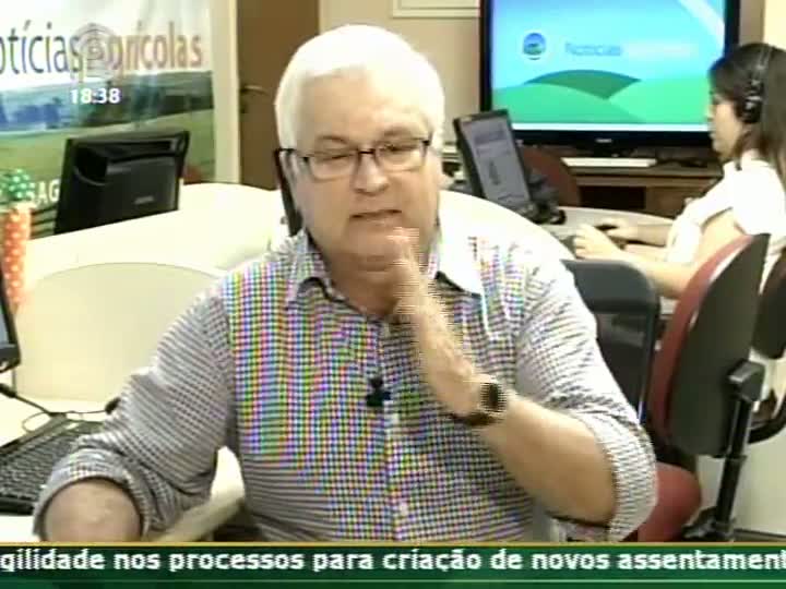 Analista de mercado fala sobre perspectiva baixista nos próximos meses para o milho