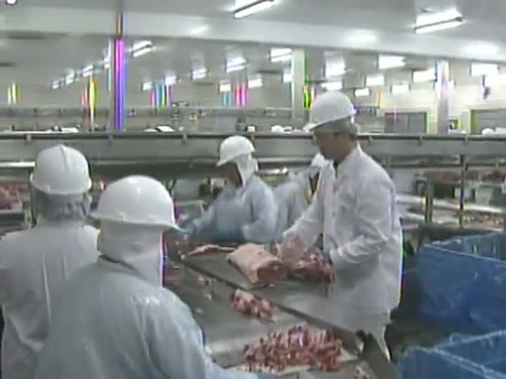 Setor de carne bovina registra alta no primeiro trimestre de 2013