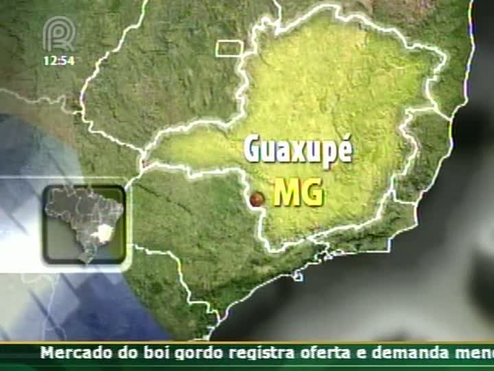 Presidente da Cooxupé comenta situação do mercado de café