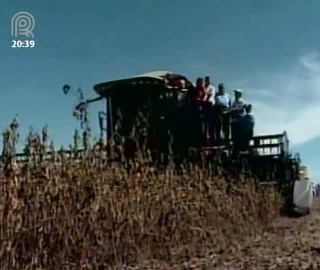 Colheita da Soja é comemorada no Rio Grande do Sul