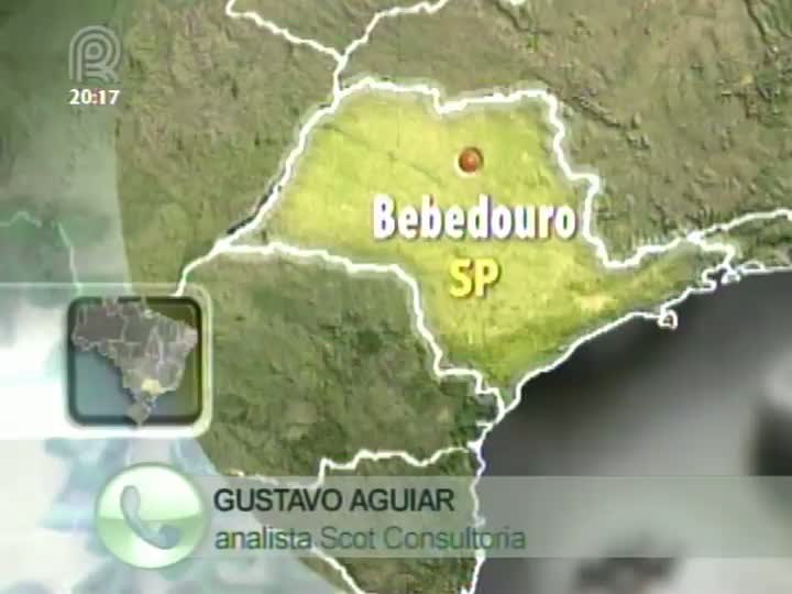 Analista da Scot Consultoria fala sobre o setor do frango