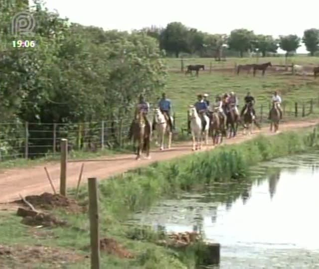 Mangalarga Marchador TV mostra uma cavalgada diferente para homenagear as mulheres - Parte 1