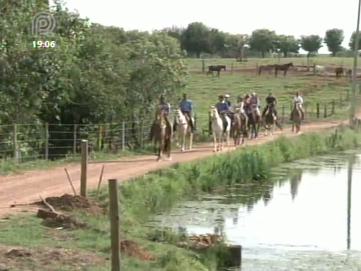 Mangalarga Marchador TV mostra uma cavalgada diferente para homenagear as mulheres - Parte 1