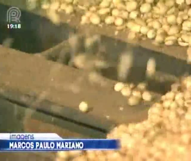 Alta de até 50% no valor do frete prejudica cadeia produtiva da soja e milho