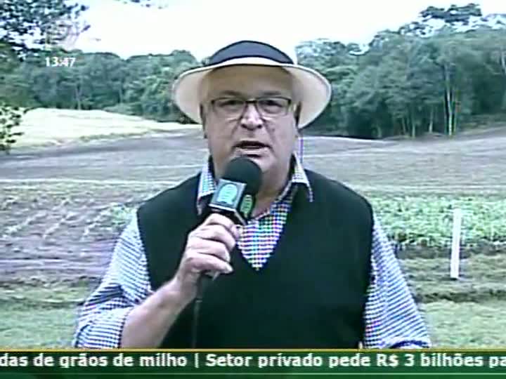 Produtor rural fala sobre a questão de desocupação indígena no Mato Grosso