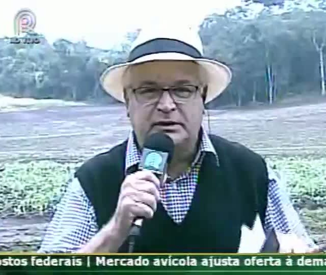 Mendes Ribeiro Filho deve deixar Ministério da Agricultura, diz Carolina Bahia