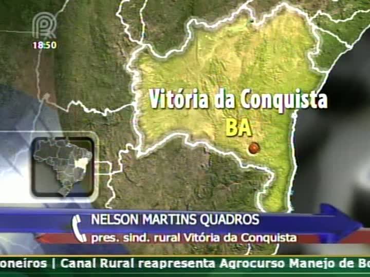 Presidente do Sindicato Rural de Vitória da Conquista (BA) fala sobre os prejuízos na região devido à estiagem