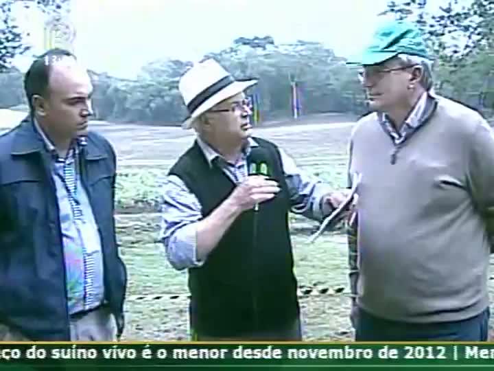 Gerente regional da Emater de Curitiba fala sobre a diversificação da produção de fumo, milho gera renda, trabalho e oportunidades