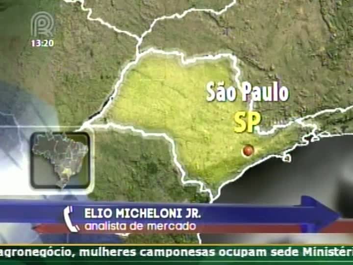 Analista fala sobre o mercado de boi gordo