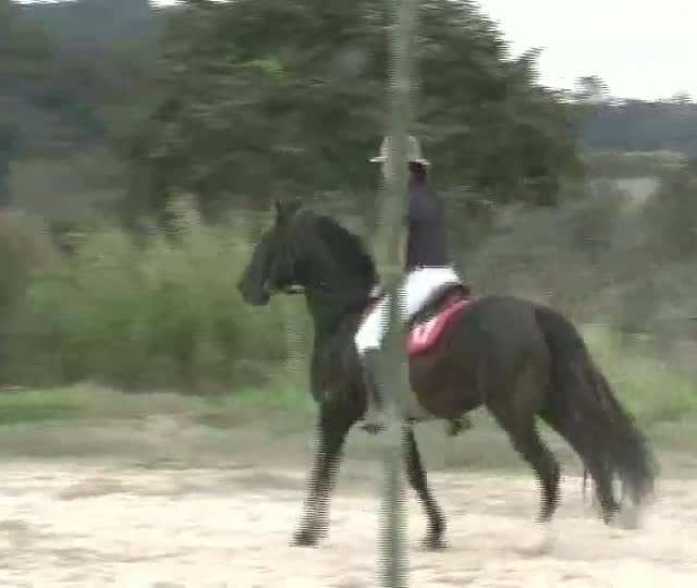Mangalarga Marchador TV mostra dia de campo no Haras Figueira - Parte 2