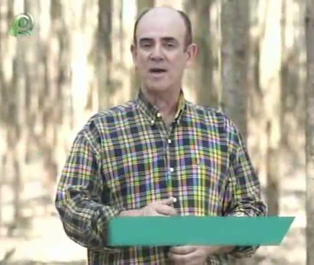 Painel Florestal fala de Cidades Florestais em Rio Negrinho (SC)