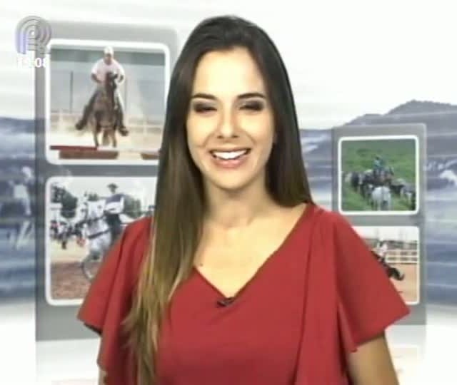 Mangalarga Marchador TV conta a história da matriarca da tradicional linhagem Favacho (Parte 1)