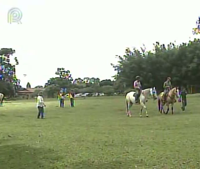 Universidade do Cavalo oferece cerca de 50 cursos no interior de São Paulo