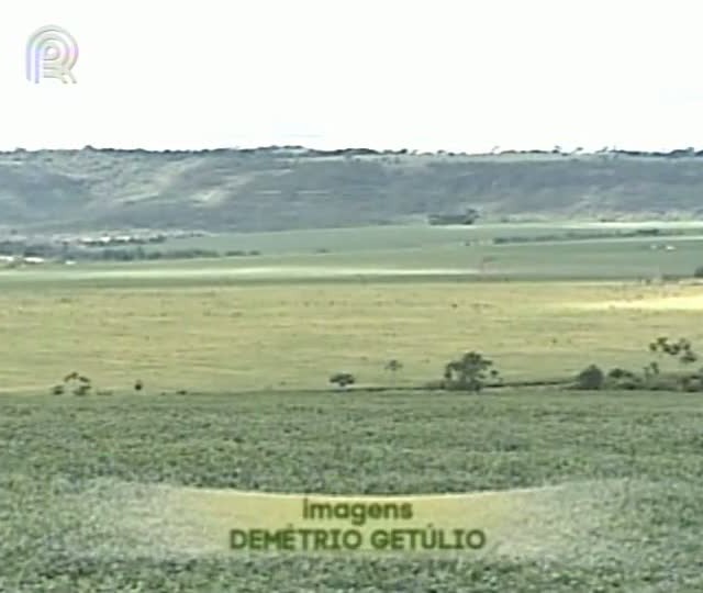 Plantações de cana e de grãos disputam espaço na região sul de Goiás